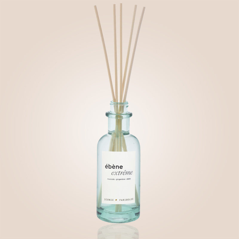 Mikado Iconic Ébène Extrême 250 ml – Fariboles