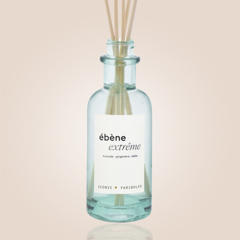 Mikado Iconic Ébène Extrême 250 ml – Fariboles