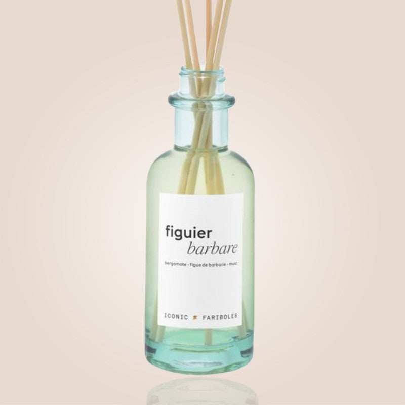Mikado Iconic Figuier Barbare 250 ml – Fariboles