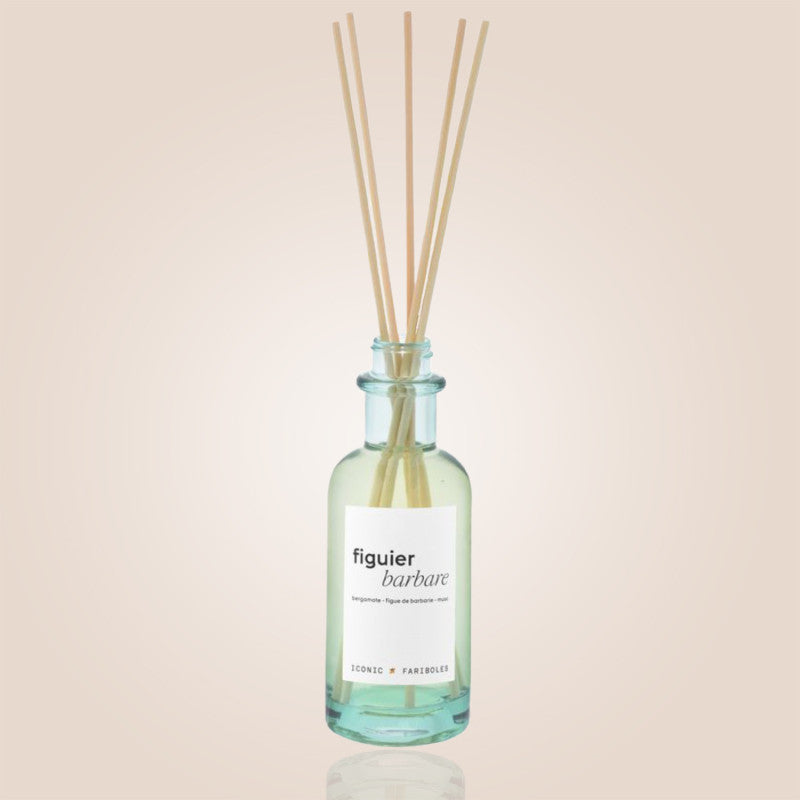 Mikado Iconic Figuier Barbare 250 ml – Fariboles