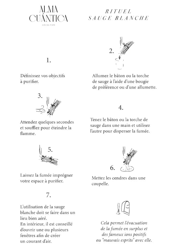 Sauge blanche de Californie – Torche de fumigation